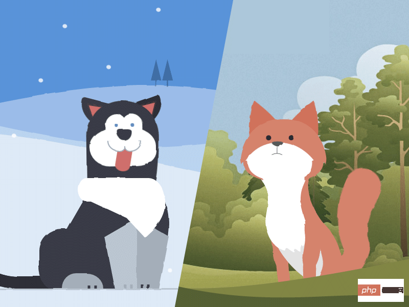 适合初学者学习的CSS3实现可爱的动物