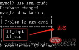 cmd 怎么查看mysql