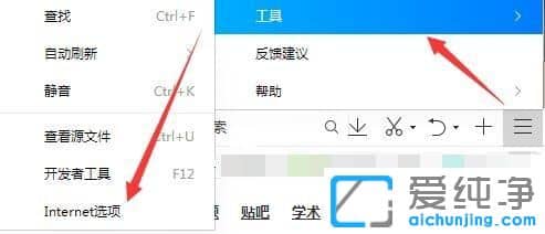 Win10纯净版系统IE浏览器怎么启用flash插件