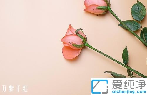 教你xp下怎么用画图删除图片水印_xp去除图片水印的免费软件使用教程
