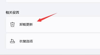 Win11系统一直闪屏怎么解决？
