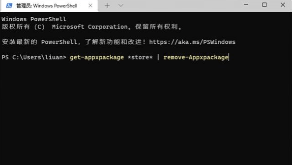 Win11系统应用商店还是老版本怎么办？