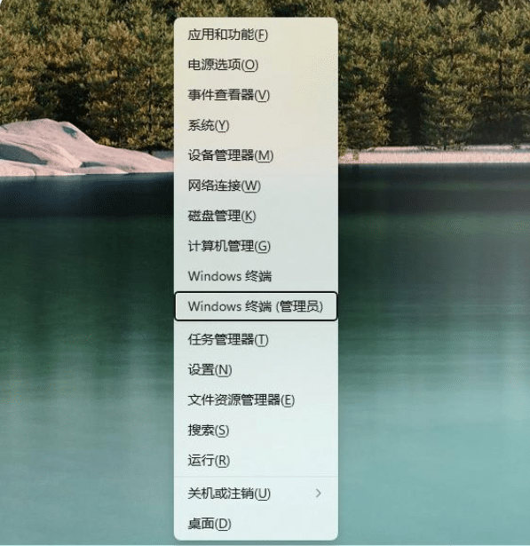 Win11系统应用商店还是老版本怎么办？