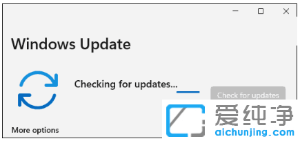 示范win11系统怎么手动更新升级