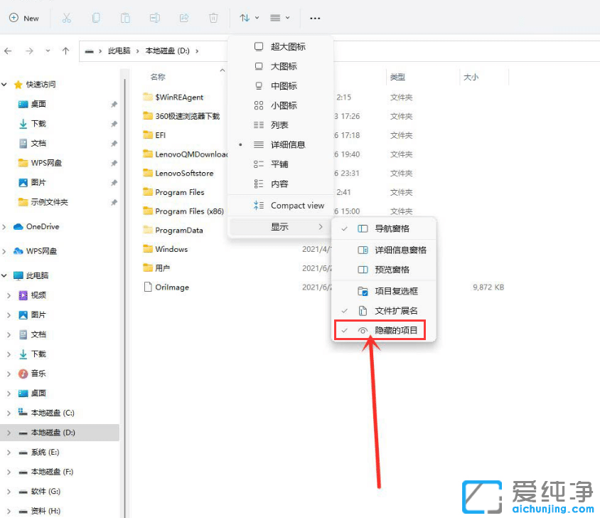Win11系统如何查看隐藏文件？