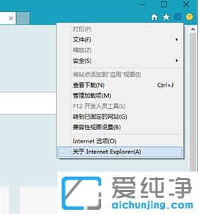 Win10纯净版怎么禁止IE浏览器自动更新