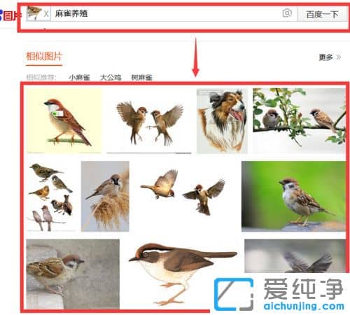 Win10纯净版系统怎么使用百度图片搜索功能