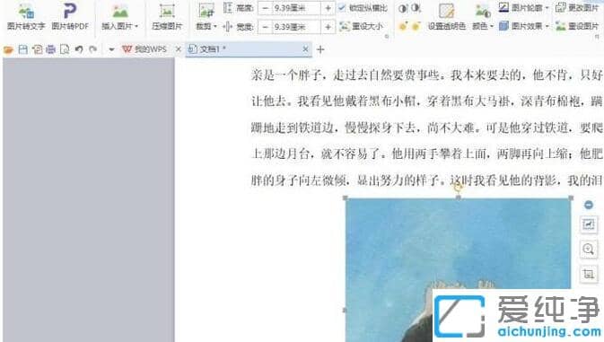 xp系统word图片自由移动_xp系统word图片自由摆放位置的教程