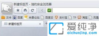 Win10系统下猎豹浏览器的历史记录在哪里