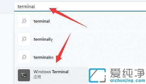 Win11系统提示找不到wt.exe提示怎么解决