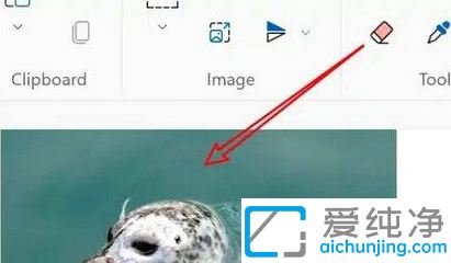 win11画图怎么改变图片大小_win11画图工具怎么调整图片大小