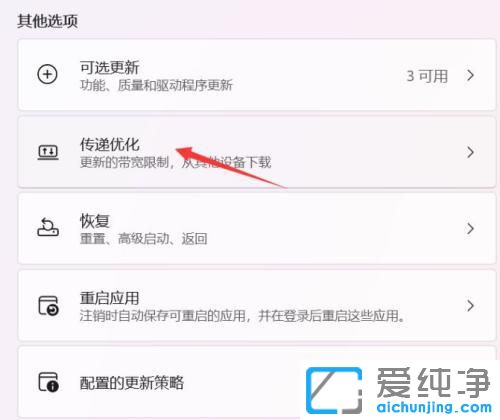 win11系统更新特别慢怎么办？