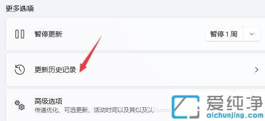 win11系统一直闪屏的解决方法