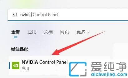 Win11没有nvidia控制面板怎么办？