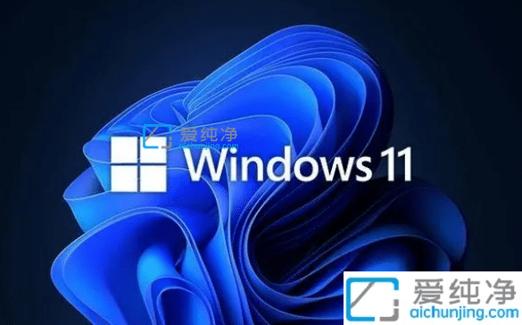 win11系统business和consumer区别_win11消费者版和商业版有什么区别