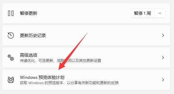 win11怎么升级win11正式版_如何升级Windows11正式版