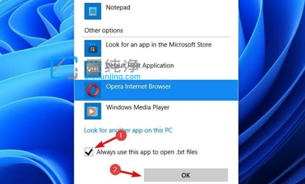 win11如何设置默认打开方式_win11怎么修改默认打开方式