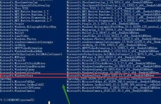 Win10系统没有应用商店怎么办