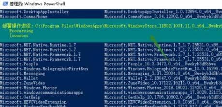 Win10系统没有应用商店怎么办