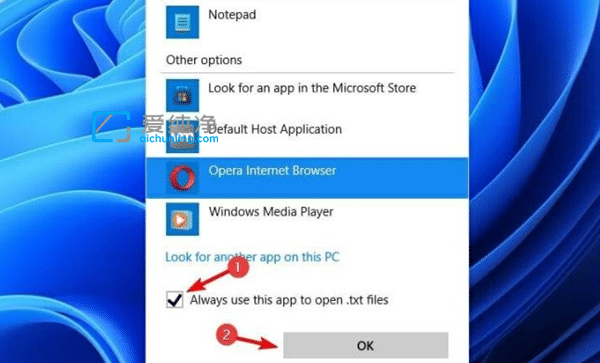 win11怎样设置默认打开方式-win11修改文件默认打开方式