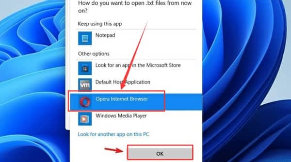 win11怎么设置默认打开方式_win11如何修改默认打开方式
