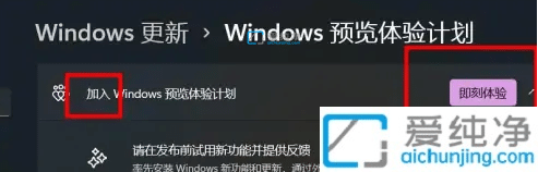 Win11如何加入预览体验计划_怎么加入windows11预览体验计划
