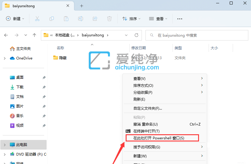 win11怎么隐藏文件夹_Win11用CMD命令隐藏文件夹的方法