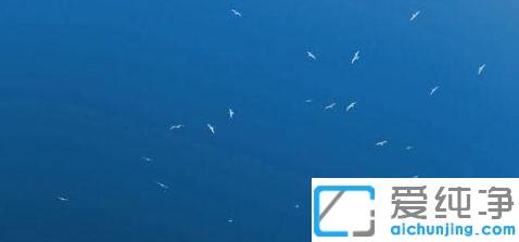 win10系统查看图片使用Windows照片查看器的方法