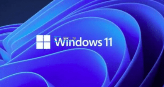 win11系统更新好还是不更新_windows11要不要更新