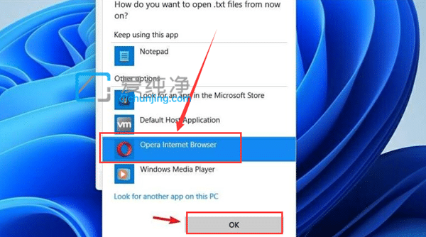 win11如何设置默认打开方式_win11怎么修改默认打开方式