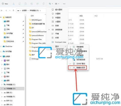 win11怎么显示隐藏文件_w11隐藏的文件怎么显示出来