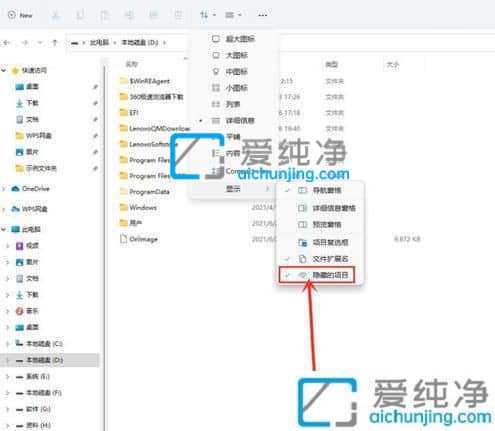 win11怎么把隐藏文件夹显示出来_Win11怎么显示隐藏文件
