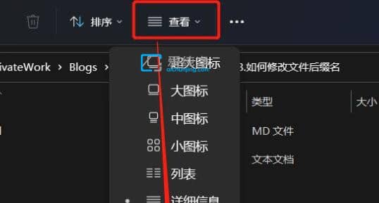 win11文件不显示后缀名怎么办？win11如何更改文件后缀格式