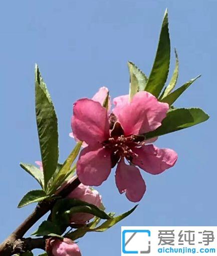 win10纯净版自带截图工具的使用教程