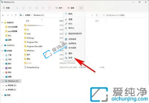 win11怎么显示隐藏文件-win11如何显示所有的隐藏文件和文件夹