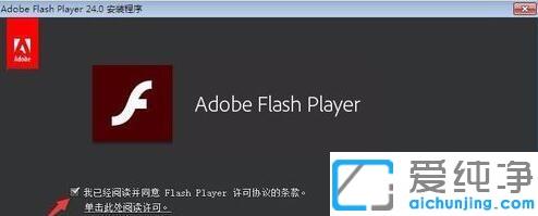 谷歌flash不是最新版本怎么解决_谷歌浏览器打开视频提示flash不是最新版本