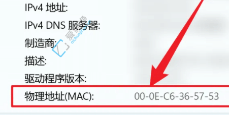 Win11如何查看MAC地址-win11电脑mac地址查询方法