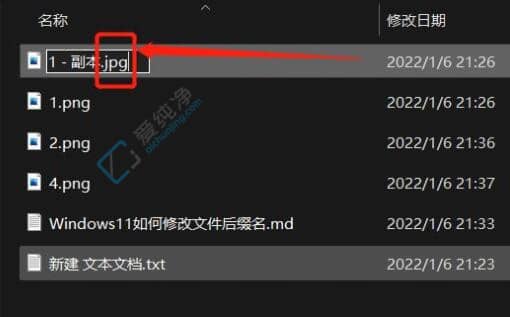 win11怎么修改文件后缀名格式-win11显示文件扩展名的方法