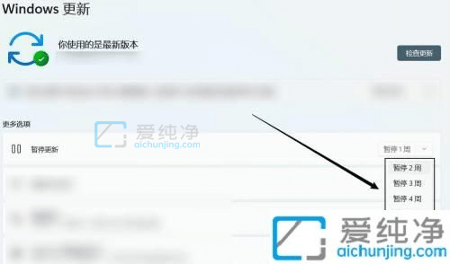 win11怎么设置停止自动更新-win11如何暂停自动更新
