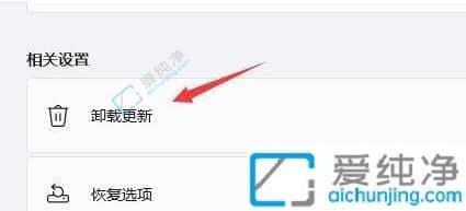 Win11如何卸载已安装补丁-怎么卸载win11系统最新补丁