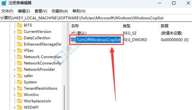 Win11怎么彻底关闭Copilot-Win11怎么禁用WindowsCopilot
