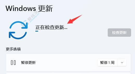 win11分辨率灰色无法调整-win11系统无法更改分辨率