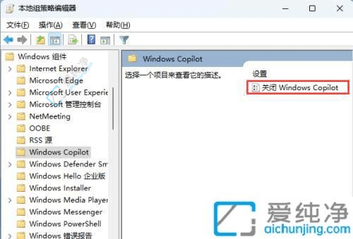 Win11系统怎么关闭Copilot-win11关闭WindowsCopilot的步骤