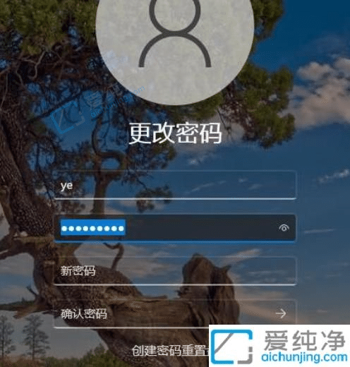 win11怎么删除登录密码-Win11系统取消密码登录的方法