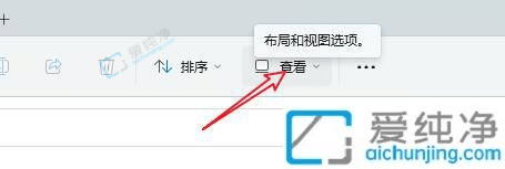 win11怎么显示文件扩展名后缀-win11显示文件扩展名的方法