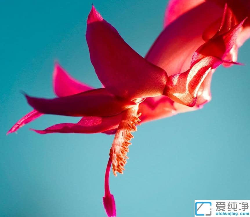 win10纯净版主题怎么更换_win10纯净版主题更换教程