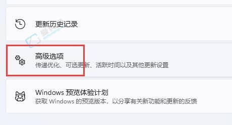 Win11系统如何提升电脑下载速度-如何提高win11下载速度速度