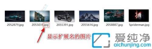 win11怎么显示文件扩展名-windows11文件扩展名怎么显示
