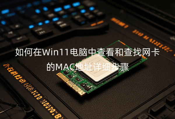 如何在Win11电脑中查看和查找网卡的MAC地址详细步骤