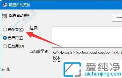 如何关闭Win11系统的自动更新？解决频繁更新带来的困扰